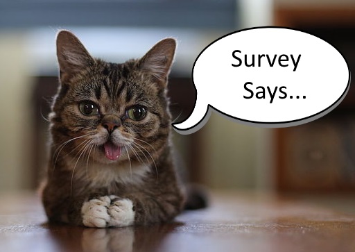 survey questions